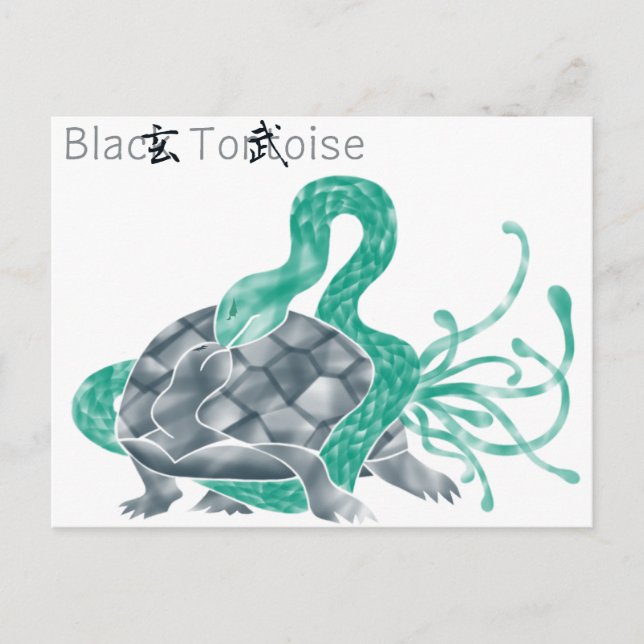 Schwarze Schildkröte(schwarz) Postkarte (Vorderseite)