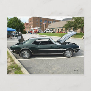 Schwarze Schönheit 2 Postkarte