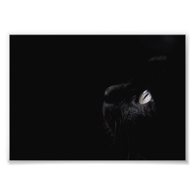 Schwarze Schönheit, Foto (Vorne)