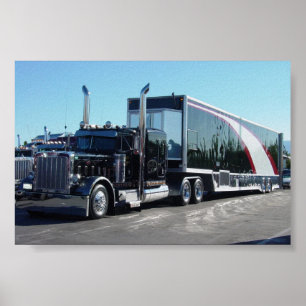 Schwarze Schönheit Poster