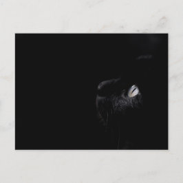 Schwarze Schönheit - Postkarte