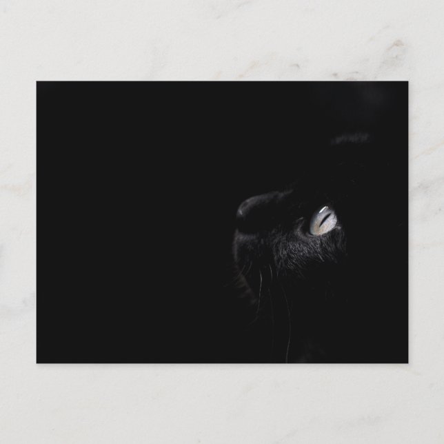 Schwarze Schönheit - Postkarte (Vorderseite)