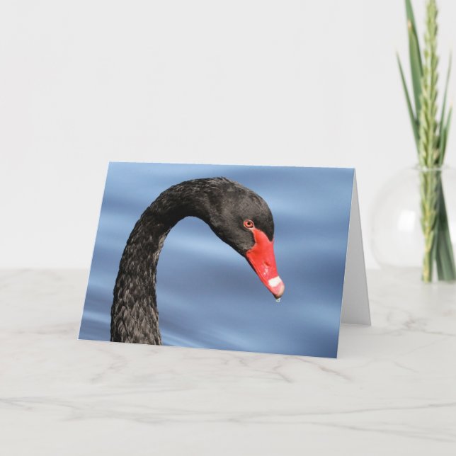 Schwarze Schönheits-Gruß-Karte Karte (Vorderseite)