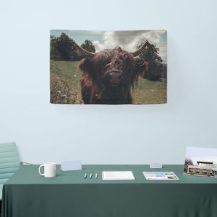 Schwarze schottische Hochlandkuh grast Vintage Ret Banner
