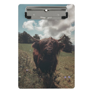 Schwarze schottische Hochlandkuh grast Vintage Ret Mini Klemmbrett