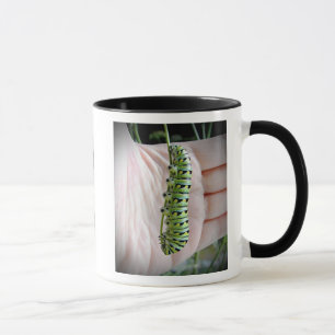 Schwarze Schwalbenschwanz-Raupen/Schmetterling-Tas Tasse