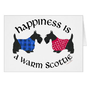 Schwarze Scottish Terrier Glückseligkeit