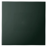 Schwarze Solid-Farbe Fliese<br><div class="desc">Schwarze Keramik</div>