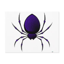 Schwarze Spider