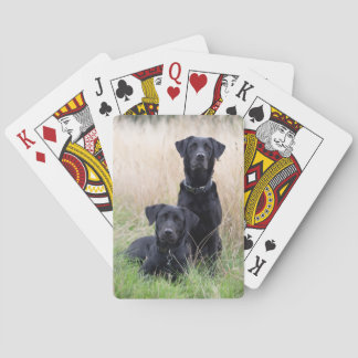 Schwarze Spielkarten Labradors