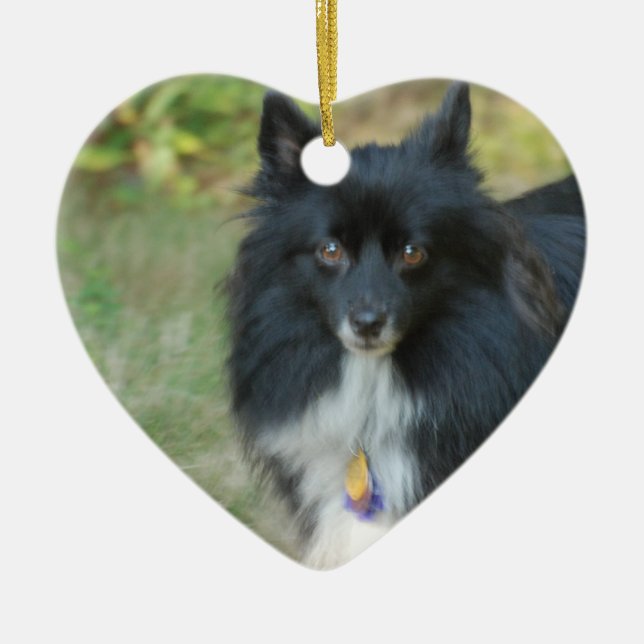 Schwarze Spitz-Hundeverzierung Keramikornament (Vorne)
