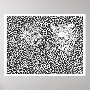 Schwarze Spots Leopards verblüfft Poster