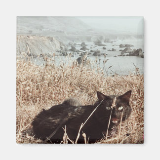 Schwarze Strandkatze Magnet