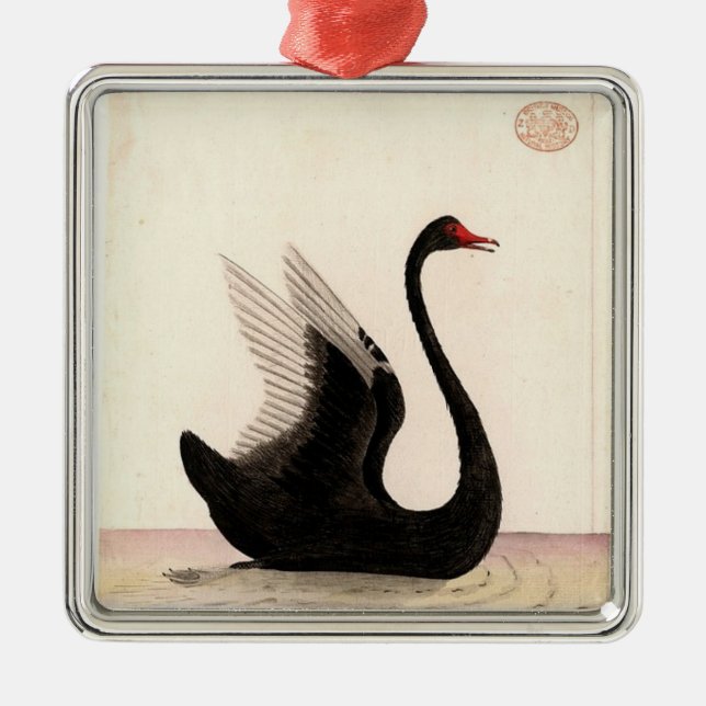 SCHWARZE SWAN ART ORNAMENT (Vorne)