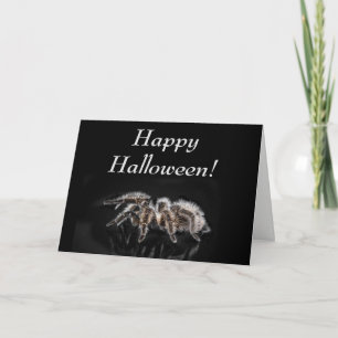 SCHWARZE TARANTEL, HALLOWEEN, LEERE GRUßKARTE KARTE