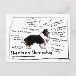 Schwarze Tri-Becken Postkarte