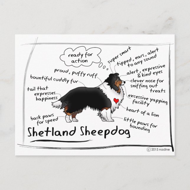 Schwarze Tri-Becken Postkarte (Vorderseite)