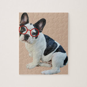 Schwarze u. weiße französische Bulldogge, die ro Puzzle