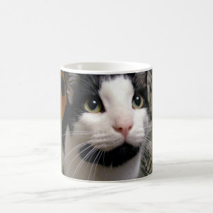 Schwarze u. weiße Katzen-Kaffeetasse Tasse
