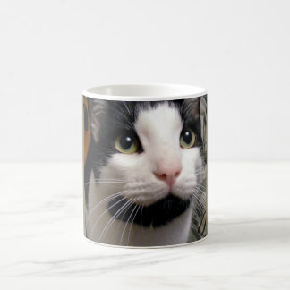 Schwarze u. weiße Katzen-Kaffeetasse Tasse