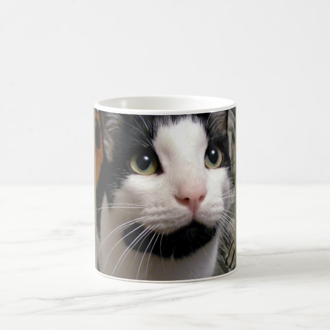 Schwarze u. weiße Katzen-Kaffeetasse Tasse (Mittel)