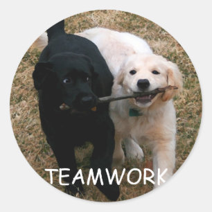 Schwarze u. weiße Welpen"Teamwork-" Aufkleber