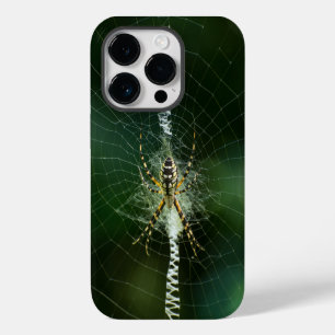 Schwarze und gelbe Gartenspinne iPhone 14 Pro Hülle