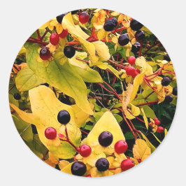 Schwarze und rote Beeren Runder Aufkleber