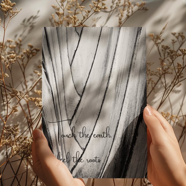 Schwarze und weiße Banane Barke Postkarte (Von Creator hochgeladen)