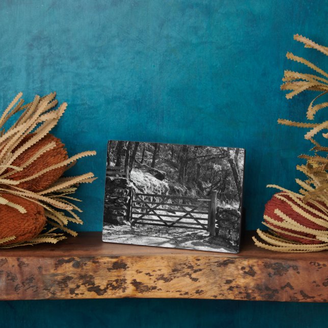 SCHWARZE UND WEISSE BÄUME UND GATE FOTOPLATTE (Seite)