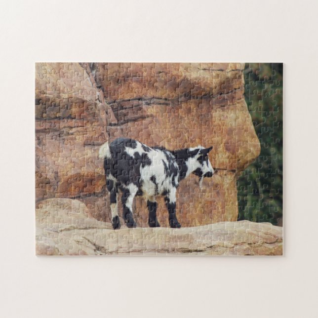 Schwarze und weiße Bergziege auf Felsen Puzzle (Horizontal)