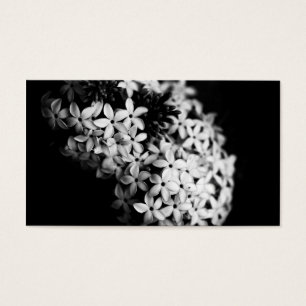 schwarze und weiße Blumen