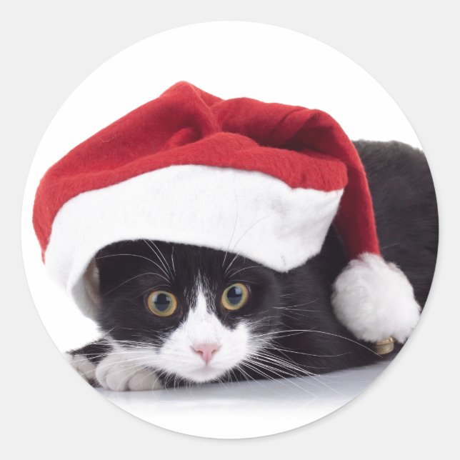 SCHWARZE UND WEISSE KATZE IN Weihnachtsmannmütze Runder Aufkleber (Vorderseite)