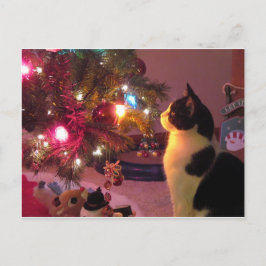 Schwarze und weiße Katze mit Weihnachtsbaum Postka Postkarte