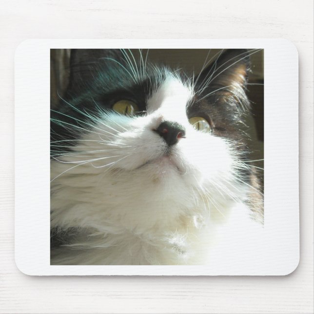 Schwarze und weiße Katze Mousepad (Vorne)