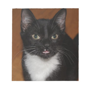 SCHWARZE UND WEISSE KATZE NOTIZBLOCK