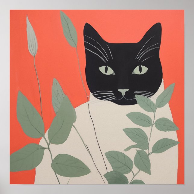 Schwarze und weiße Katze Poster (Vorne)