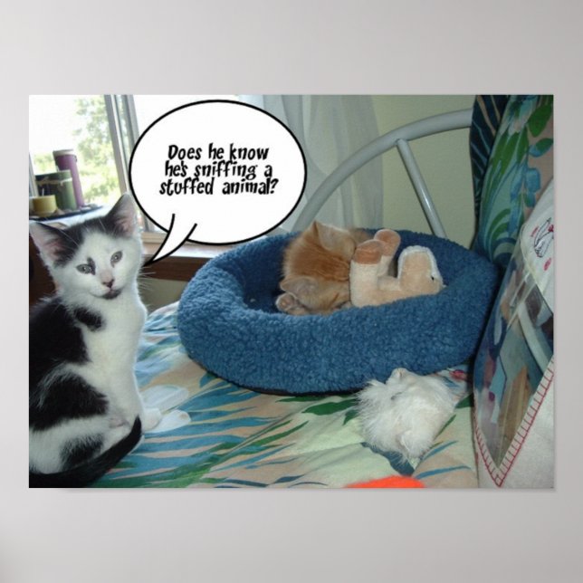 Schwarze und weiße Katze Poster (Vorne)