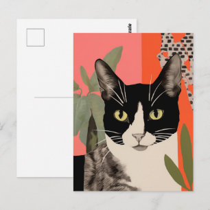 Schwarze und weiße Katze Postkarte
