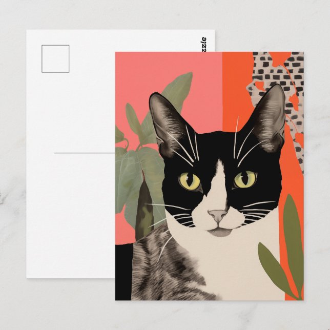 Schwarze und weiße Katze Postkarte (Vorne/Hinten)