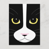 Schwarze und weiße Katze