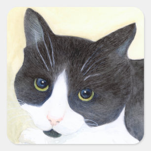 Schwarze und weiße Katze Quadratischer Aufkleber