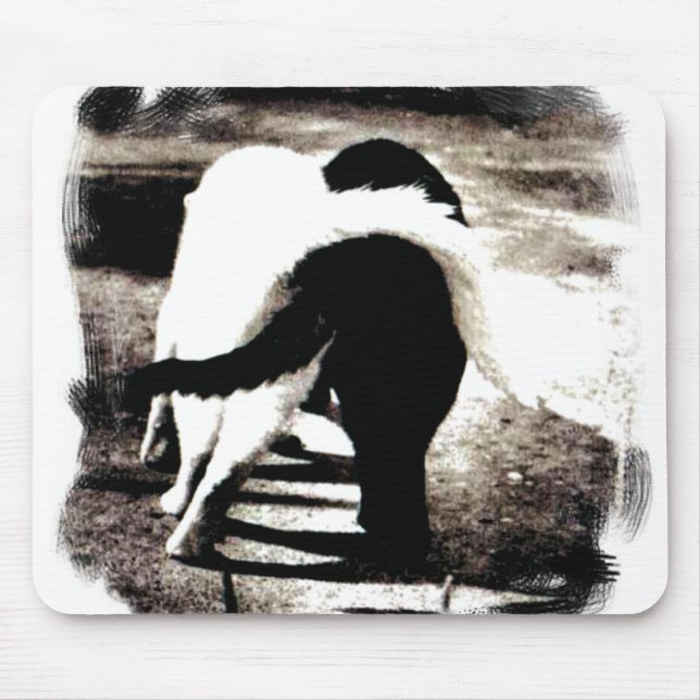 Schwarze und weiße Katzen Mousepad (Vorne)