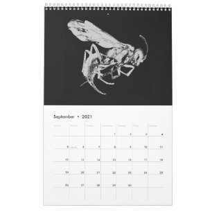 Schwarze und weiße minimalistische Insekten - Bug  Kalender