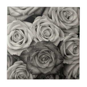 Schwarze und Weiße Rosen Fliese
