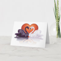 Schwarze und weiße Schwäne in der Liebe Herz