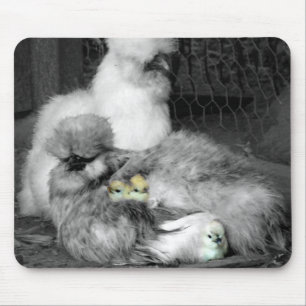 Schwarze und weiße Silkie-Hühner mit gelben Hüh Mousepad
