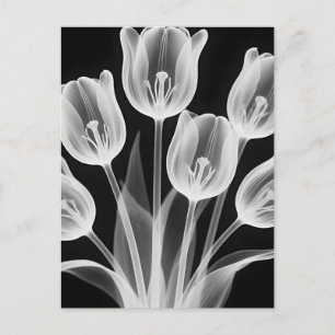 Schwarze und weiße Tulpen Elegantes Monochrom Postkarte