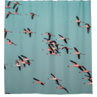 SCHWARZE UND WEISSE VÖGEL DUSCHVORHANG