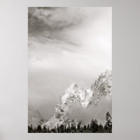 SCHWARZE UND WEISSE WINTERLANDSCHAFT